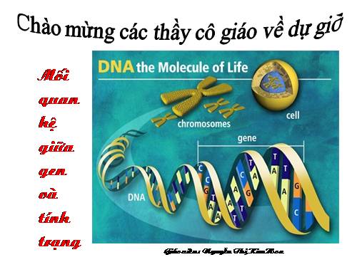 Bài 19. Mối quan hệ giữa gen và tính trạng