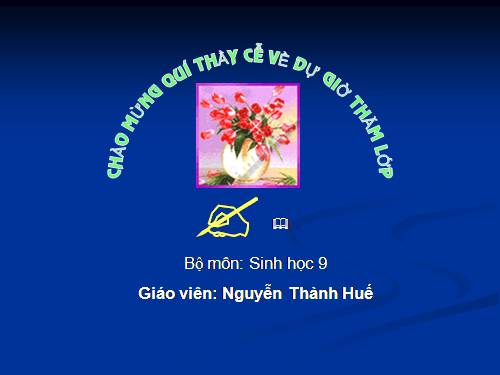 Bài 22. Đột biến cấu trúc nhiễm sắc thể