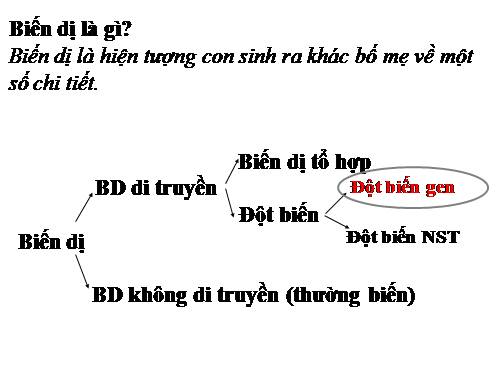 Bài 21. Đột biến gen