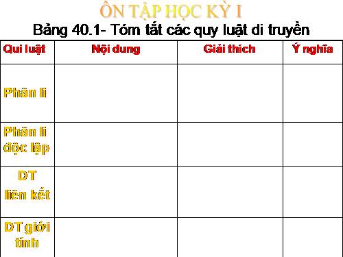 tiet 24 on tap sinh 9