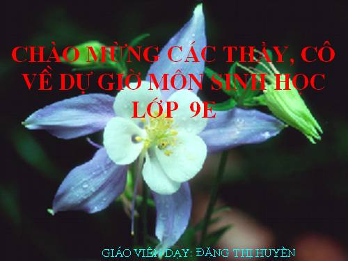 Bài 21. Đột biến gen