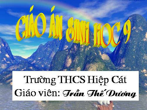 Bài 22. Đột biến cấu trúc nhiễm sắc thể