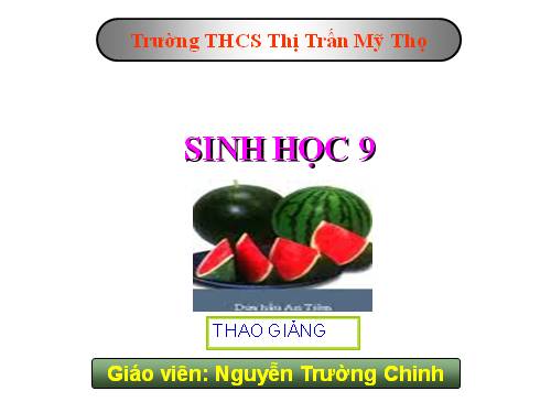 Bài 23. Đột biến số lượng nhiễm sắc thể