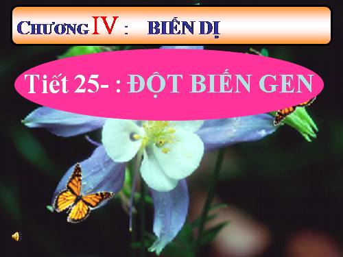 Bài 21. Đột biến gen