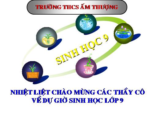 Bài 19. Mối quan hệ giữa gen và tính trạng