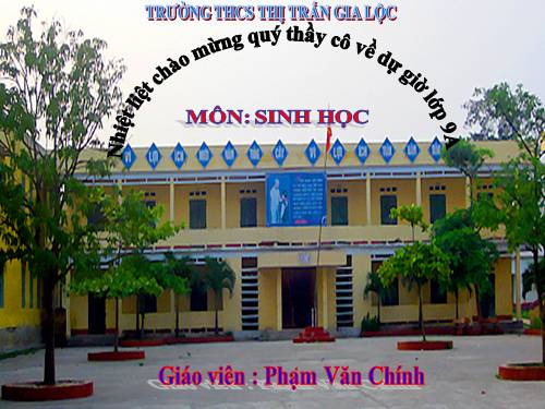 Bài 17. Mối quan hệ giữa gen và ARN