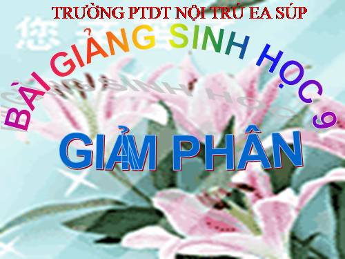 Bài 10. Giảm phân