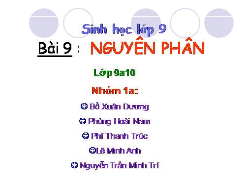 Bài 9. Nguyên phân