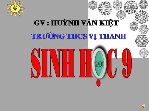 Bài 19. Mối quan hệ giữa gen và tính trạng