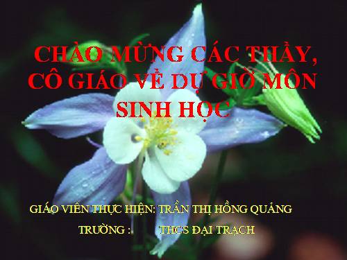 Bài 21. Đột biến gen