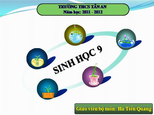 Bài 11. Phát sinh giao tử và thụ tinh