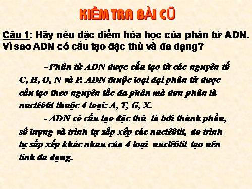 Bài 16. ADN và bản chất của gen