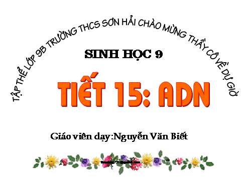 Bài 15. ADN