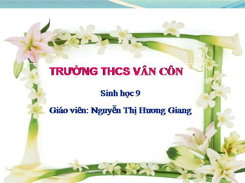 Bài 22. Đột biến cấu trúc nhiễm sắc thể