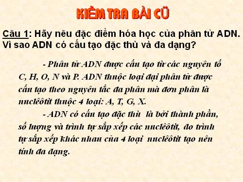 Bài 16. ADN và bản chất của gen