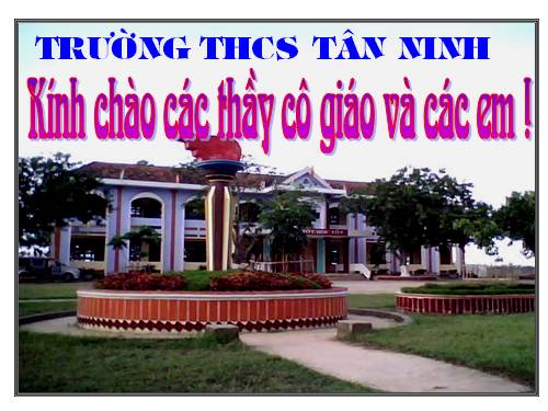 Bài 19. Mối quan hệ giữa gen và tính trạng