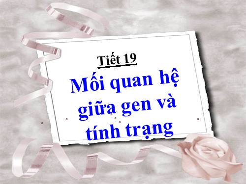 Bài 19. Mối quan hệ giữa gen và tính trạng