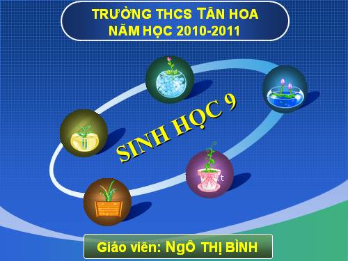 Bài 16. ADN và bản chất của gen