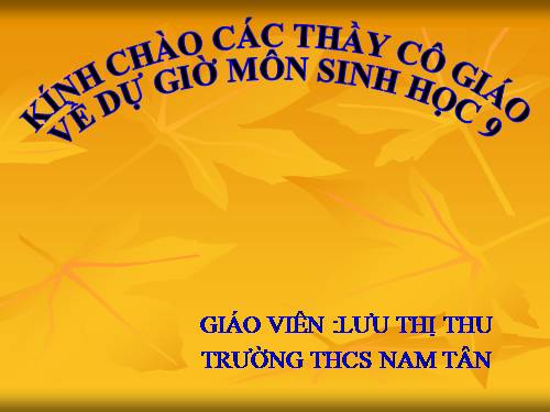 Bài 17. Mối quan hệ giữa gen và ARN