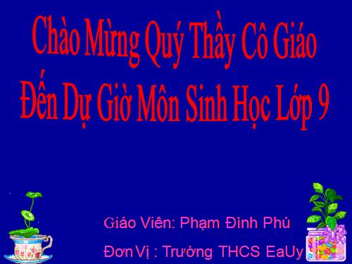 Bài 13. Di truyền liên kết