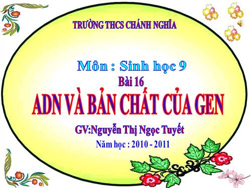 Bài 16. ADN và bản chất của gen