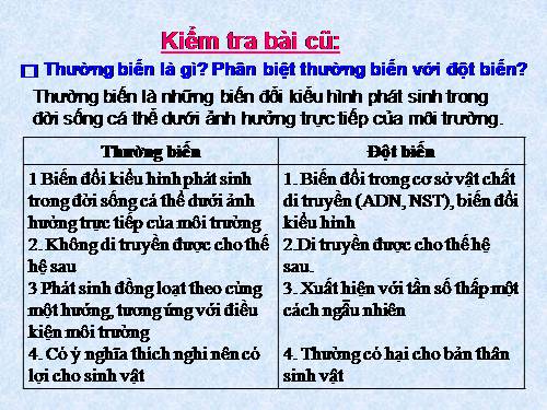 Bài 27. Thực hành: Quan sát thường biến