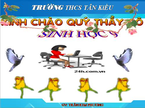 Bài 50. Hệ sinh thái