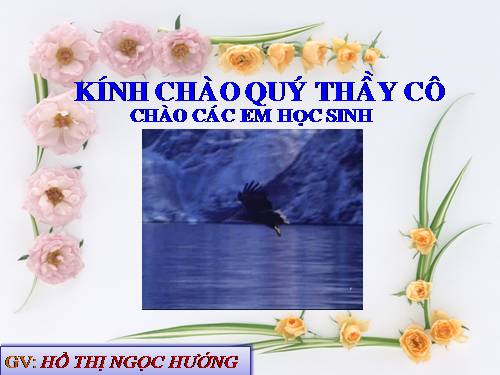 Bài 44. Ảnh hưởng lẫn nhau giữa các sinh vật