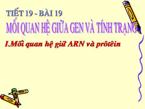 Bài 19. Mối quan hệ giữa gen và tính trạng