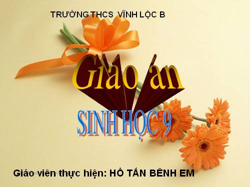 Bài 11. Phát sinh giao tử và thụ tinh