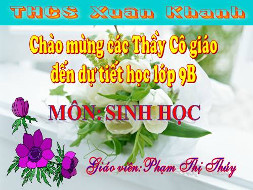 Bài 10. Giảm phân