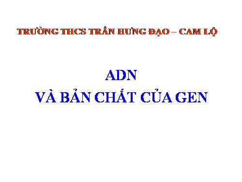 Bài 16. ADN và bản chất của gen