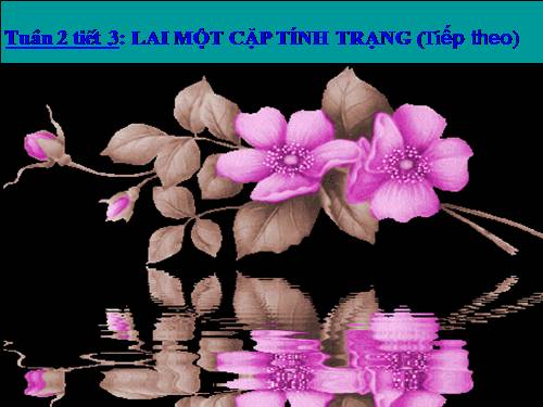 Bài 3. Lai một cặp tính trạng (tiếp theo)