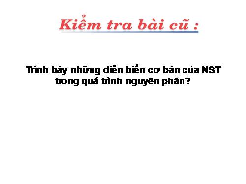 Bài 10. Giảm phân