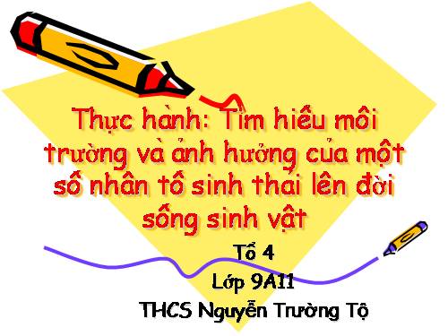 Bài 45. Thực hành: Tìm hiểu môi trường và ảnh hưởng của một số nhân tố sinh thái lên đời sống sinh vật