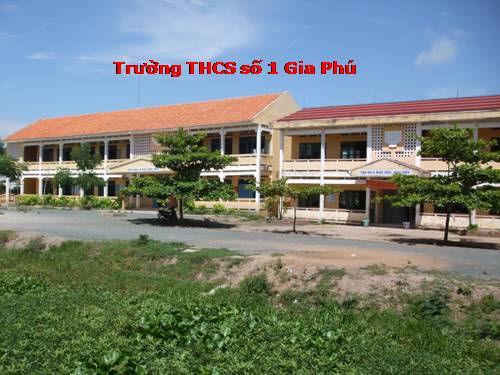 Bài 9. Nguyên phân