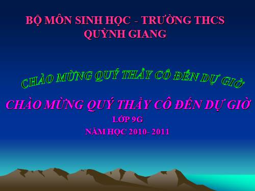 Bài 23. Đột biến số lượng nhiễm sắc thể