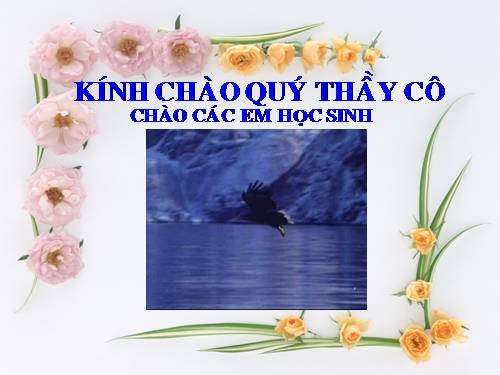 Bài 44. Ảnh hưởng lẫn nhau giữa các sinh vật