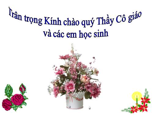 Bài 24. Đột biến số lượng nhiễm sắc thể (tiếp theo)