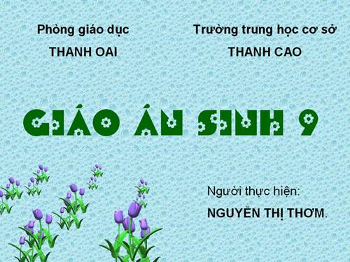 Bài 19. Mối quan hệ giữa gen và tính trạng
