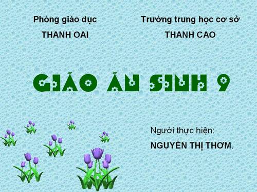 Bài 15. ADN