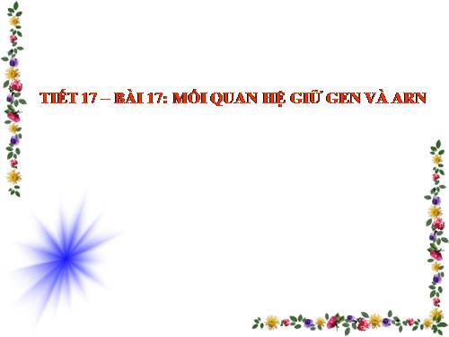 Bài 17. Mối quan hệ giữa gen và ARN