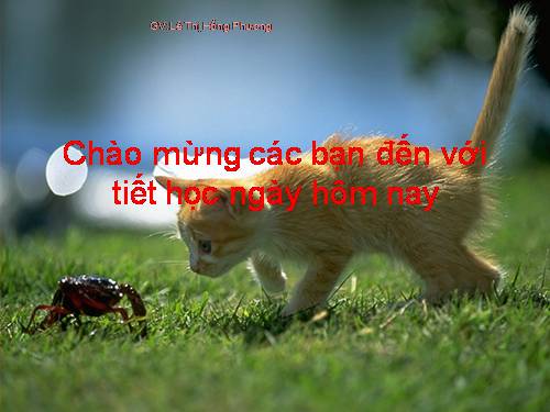 Bài 1. Menđen và Di truyền học