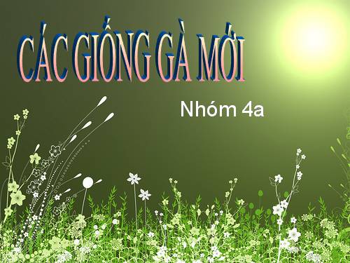 Các giống vật nuôi mới