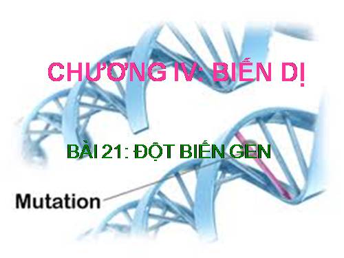 Bài 21. Đột biến gen