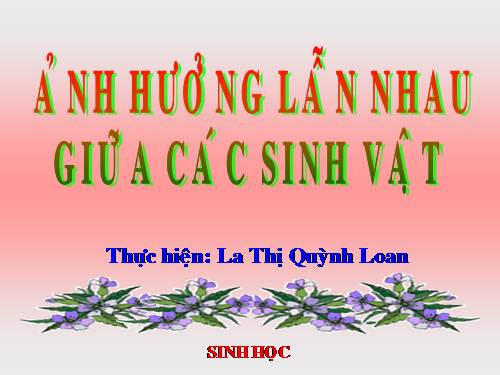 Bài 44. Ảnh hưởng lẫn nhau giữa các sinh vật