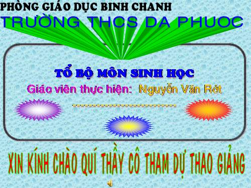 Bài 21. Đột biến gen