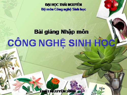 Bài 32. Công nghệ gen