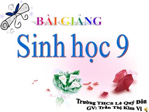 Bài 29. Bệnh và tật di truyền ở người