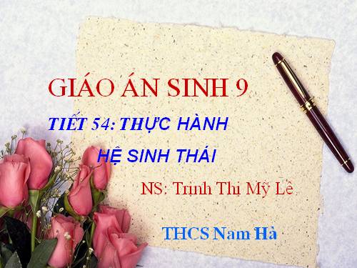 Bài 51. Thực hành: Hệ sinh thái